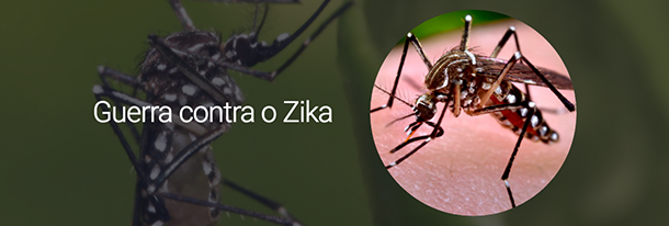 Guerra contra o Zika